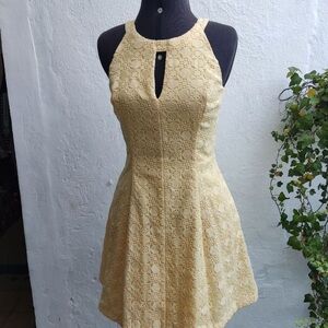 White House Black Market petite lace halter A-line dress in yellow